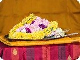 IMG_2851