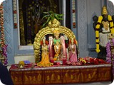 Copy of DSC_0129