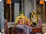 Copy of DSC_0170