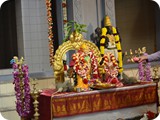 Copy of DSC_0173