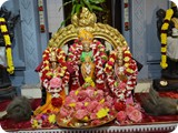 Copy of DSC_0206